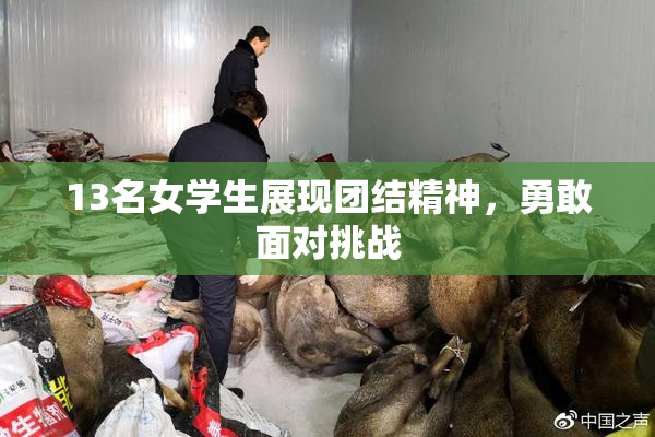 13名女学生展现团结精神，勇敢面对挑战