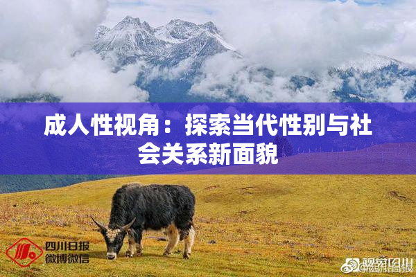 成人性视角：探索当代性别与社会关系新面貌