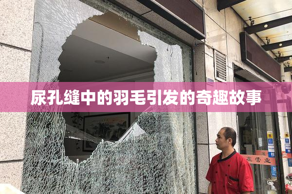 尿孔缝中的羽毛引发的奇趣故事