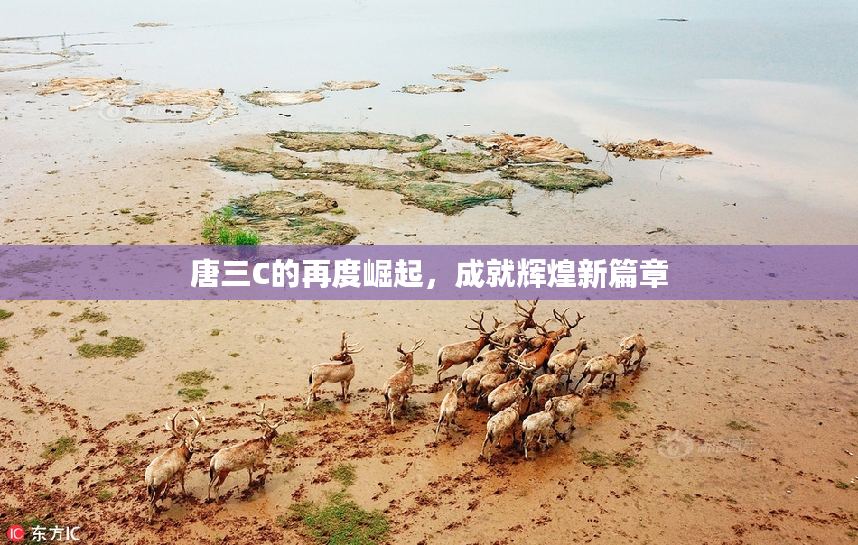 唐三C的再度崛起，成就辉煌新篇章