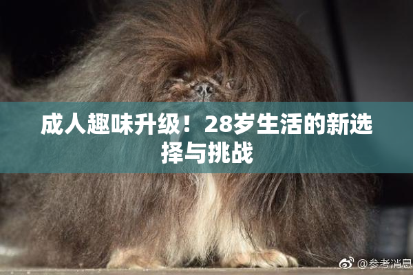 成人趣味升级！28岁生活的新选择与挑战