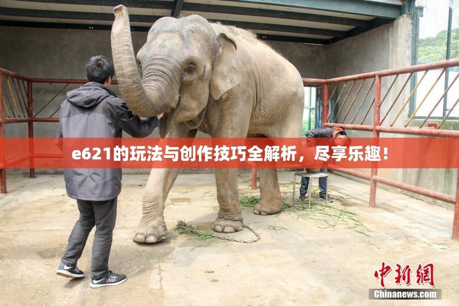 e621的玩法与创作技巧全解析，尽享乐趣！