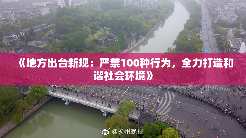 《地方出台新规：严禁100种行为，全力打造和谐社会环境》