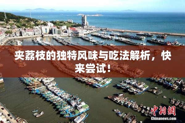 夹荔枝的独特风味与吃法解析，快来尝试！