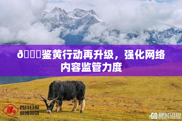🔞鉴黄行动再升级，强化网络内容监管力度