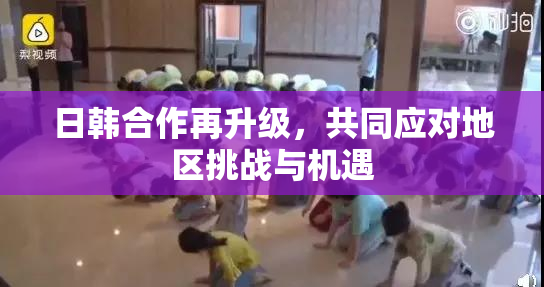 日韩合作再升级，共同应对地区挑战与机遇