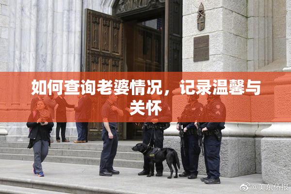 如何查询老婆情况，记录温馨与关怀