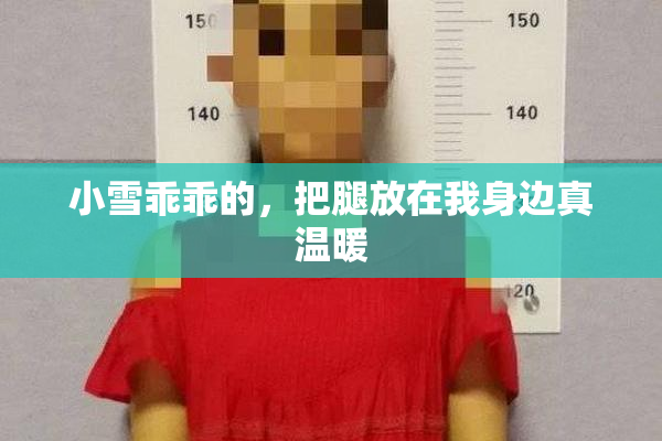小雪乖乖的，把腿放在我身边真温暖