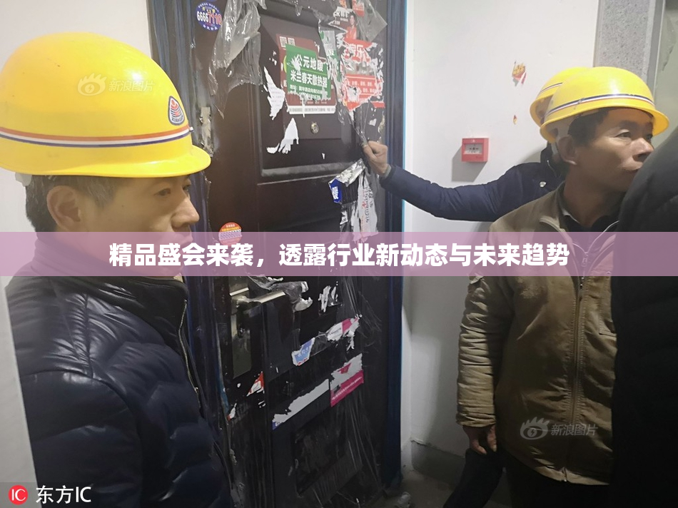精品盛会来袭，透露行业新动态与未来趋势