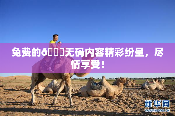 免费的🔞无码内容精彩纷呈，尽情享受！