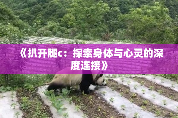《扒开腿c：探索身体与心灵的深度连接》