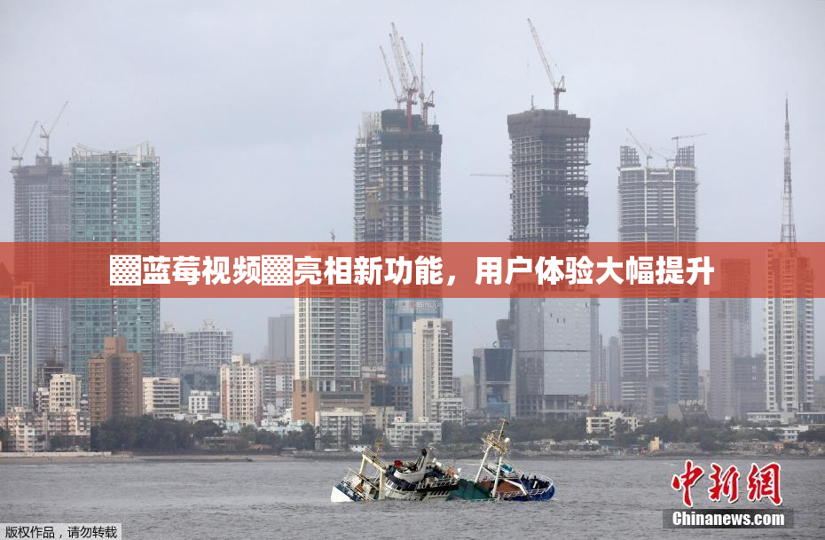▓蓝莓视频▓亮相新功能，用户体验大幅提升