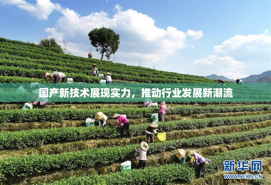 国产新技术展现实力，推动行业发展新潮流