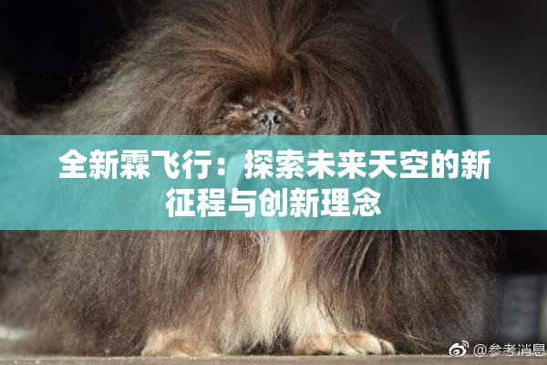 全新霖飞行：探索未来天空的新征程与创新理念