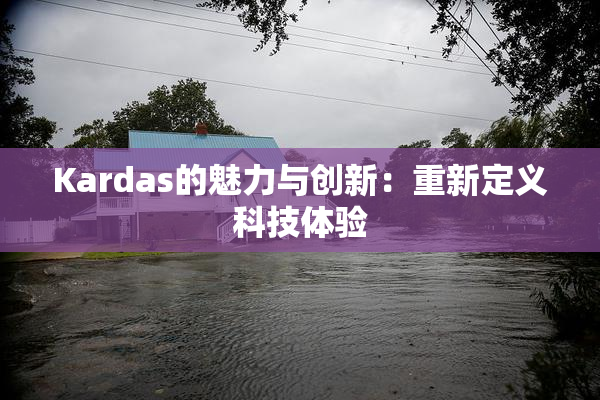 Kardas的魅力与创新：重新定义科技体验