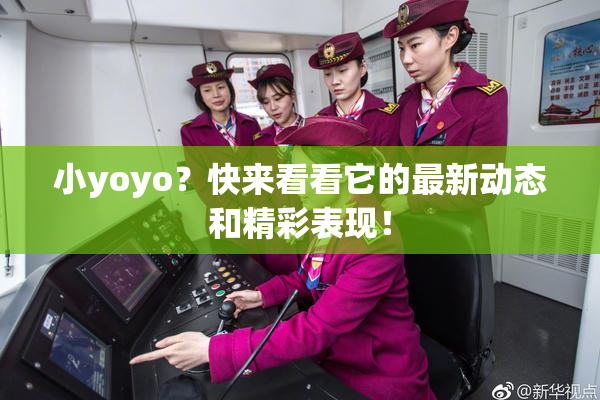 小yoyo？快来看看它的最新动态和精彩表现！