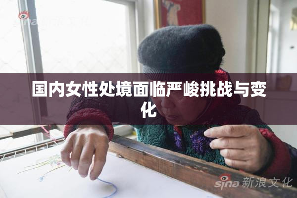 国内女性处境面临严峻挑战与变化