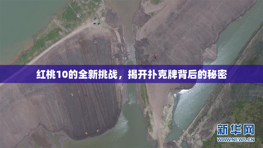 红桃10的全新挑战，揭开扑克牌背后的秘密