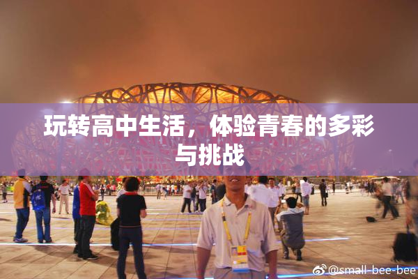 玩转高中生活，体验青春的多彩与挑战