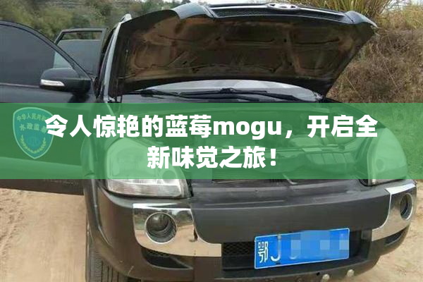 令人惊艳的蓝莓mogu，开启全新味觉之旅！