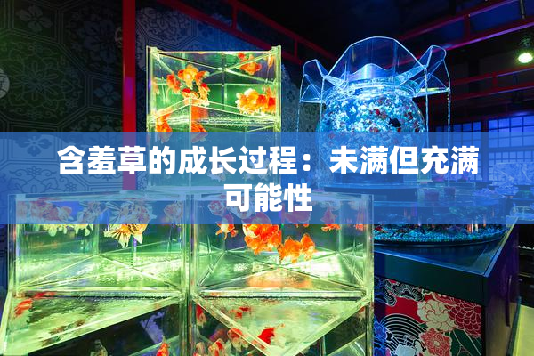 含羞草的成长过程：未满但充满可能性
