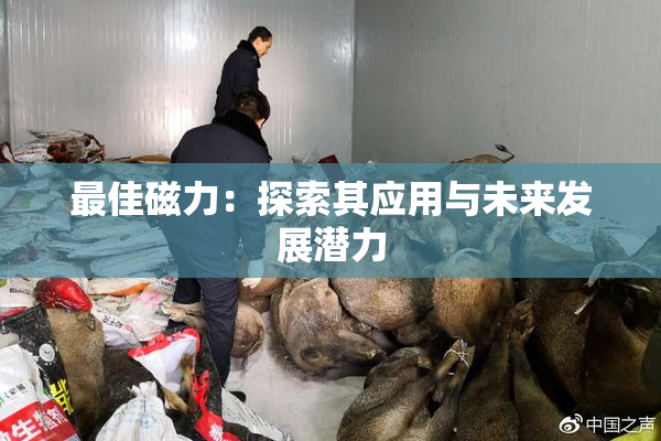 最佳磁力：探索其应用与未来发展潜力