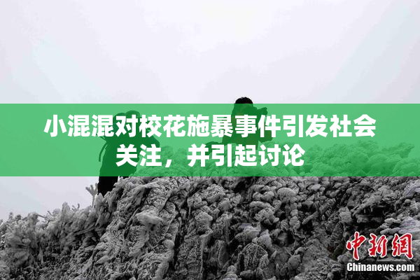 小混混对校花施暴事件引发社会关注，并引起讨论