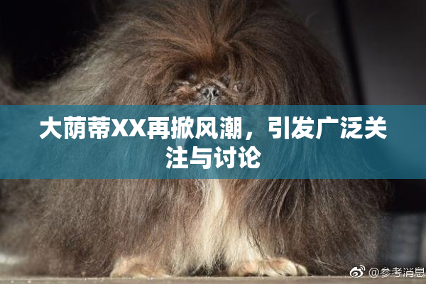 大荫蒂XX再掀风潮，引发广泛关注与讨论