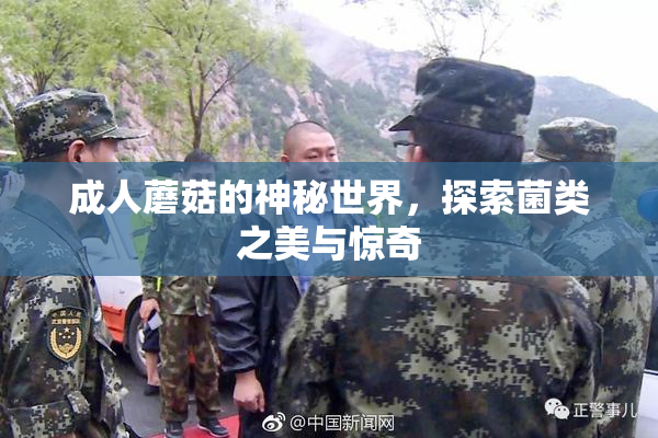 成人蘑菇的神秘世界，探索菌类之美与惊奇