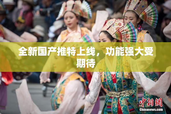 全新国产推特上线，功能强大受期待