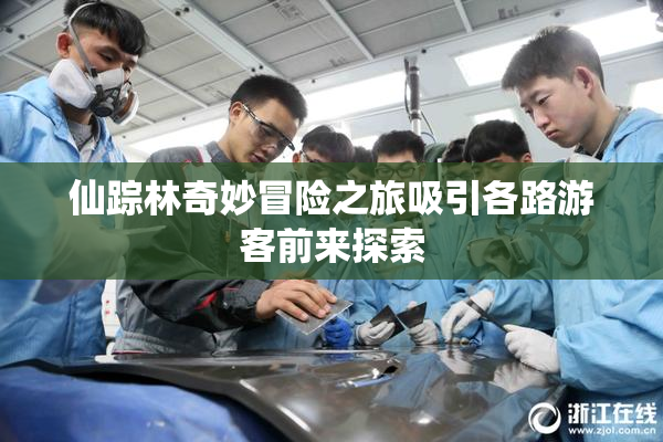 仙踪林奇妙冒险之旅吸引各路游客前来探索