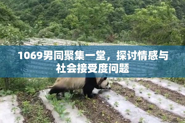 1069男同聚集一堂，探讨情感与社会接受度问题