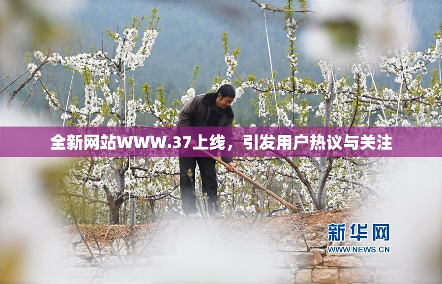 全新网站WWW.37上线，引发用户热议与关注