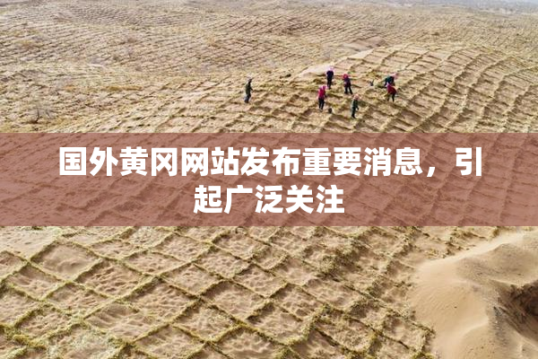 国外黄冈网站发布重要消息，引起广泛关注