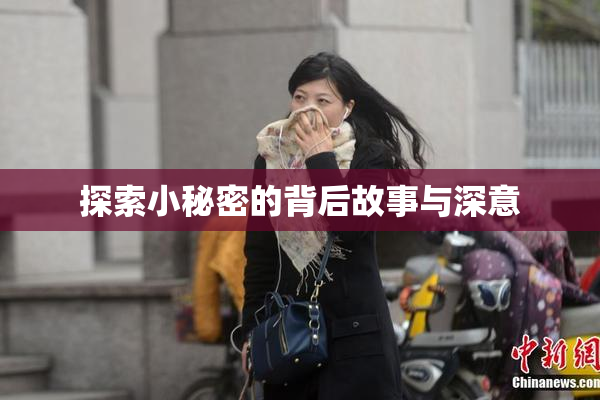 探索小秘密的背后故事与深意