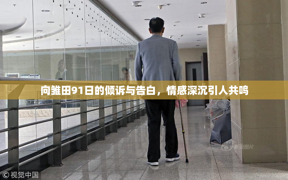 向雏田91日的倾诉与告白，情感深沉引人共鸣