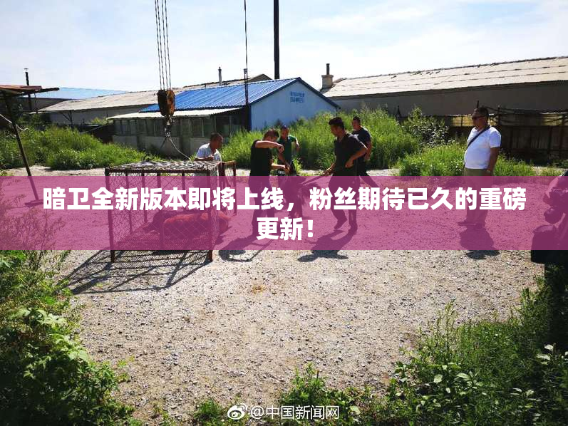 暗卫全新版本即将上线，粉丝期待已久的重磅更新！