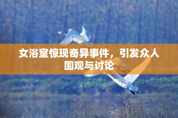 女浴室惊现奇异事件，引发众人围观与讨论