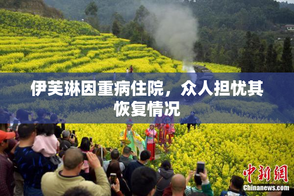伊芙琳因重病住院，众人担忧其恢复情况
