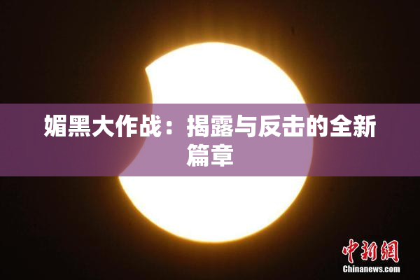 媚黑大作战：揭露与反击的全新篇章