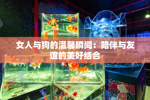 女人与狗的温馨瞬间：陪伴与友谊的美好结合