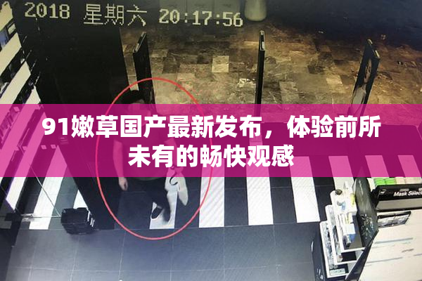 91嫩草国产最新发布，体验前所未有的畅快观感