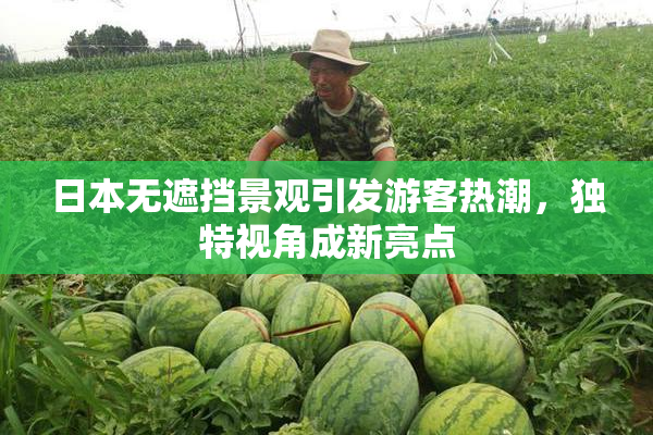 日本无遮挡景观引发游客热潮，独特视角成新亮点