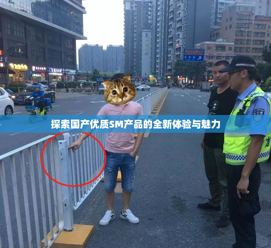 探索国产优质SM产品的全新体验与魅力