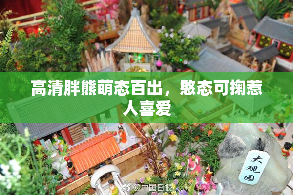 高清胖熊萌态百出，憨态可掬惹人喜爱