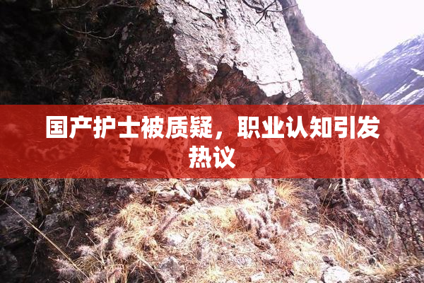国产护士被质疑，职业认知引发热议