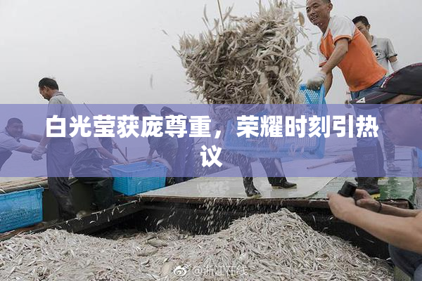 白光莹获庞尊重，荣耀时刻引热议