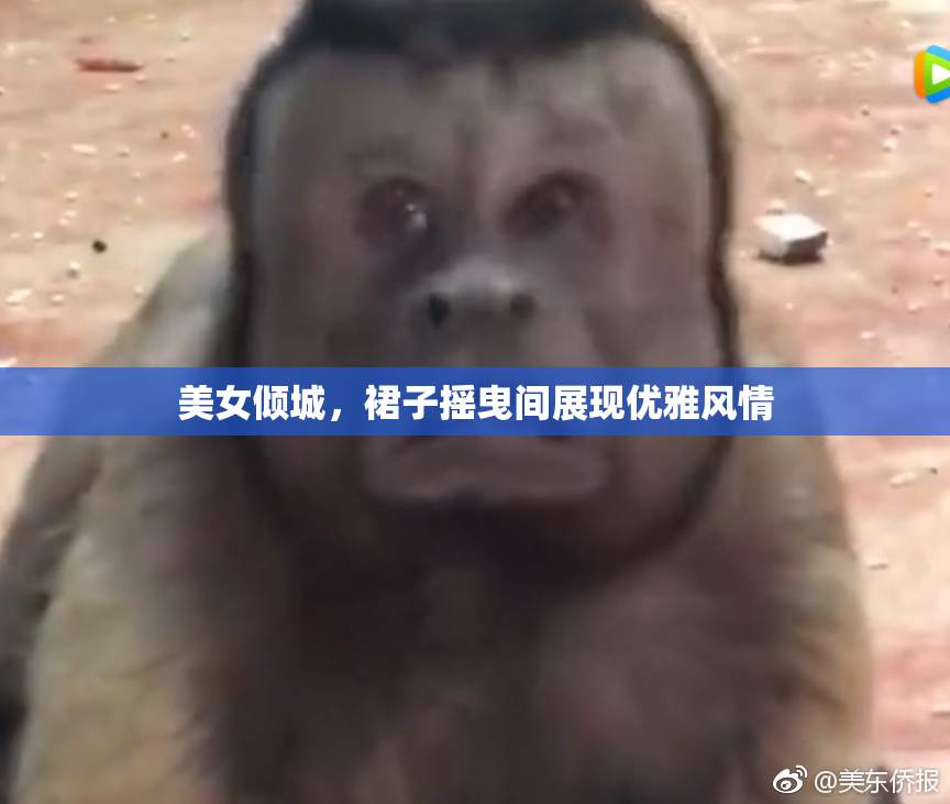 美女倾城，裙子摇曳间展现优雅风情