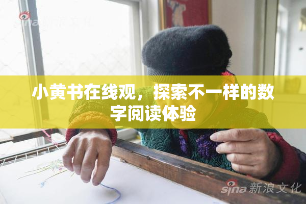 小黄书在线观，探索不一样的数字阅读体验