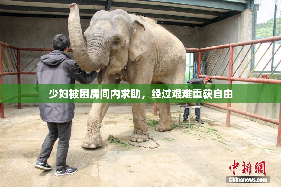 少妇被困房间内求助，经过艰难重获自由